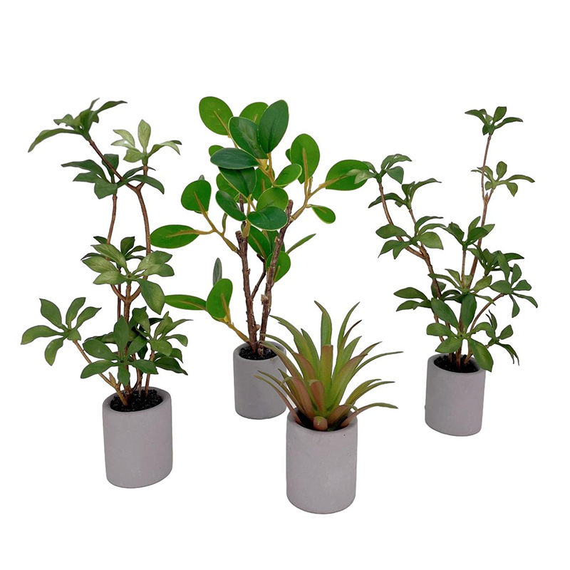 Bonsai Gardenia - 1:6 인형의 집 미니어처 화분, 녹색