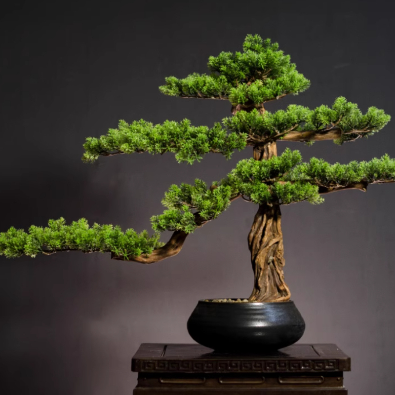 Bonsai Garden Entrance - 거실 입구 장식용 가정용 환영 소나무