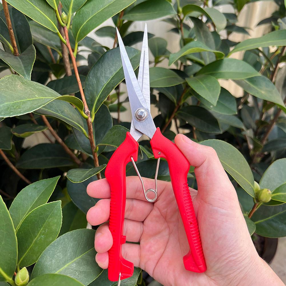 Bonsai Garden Plants - 프로 가든 전정가위 연장형 나무 꽃