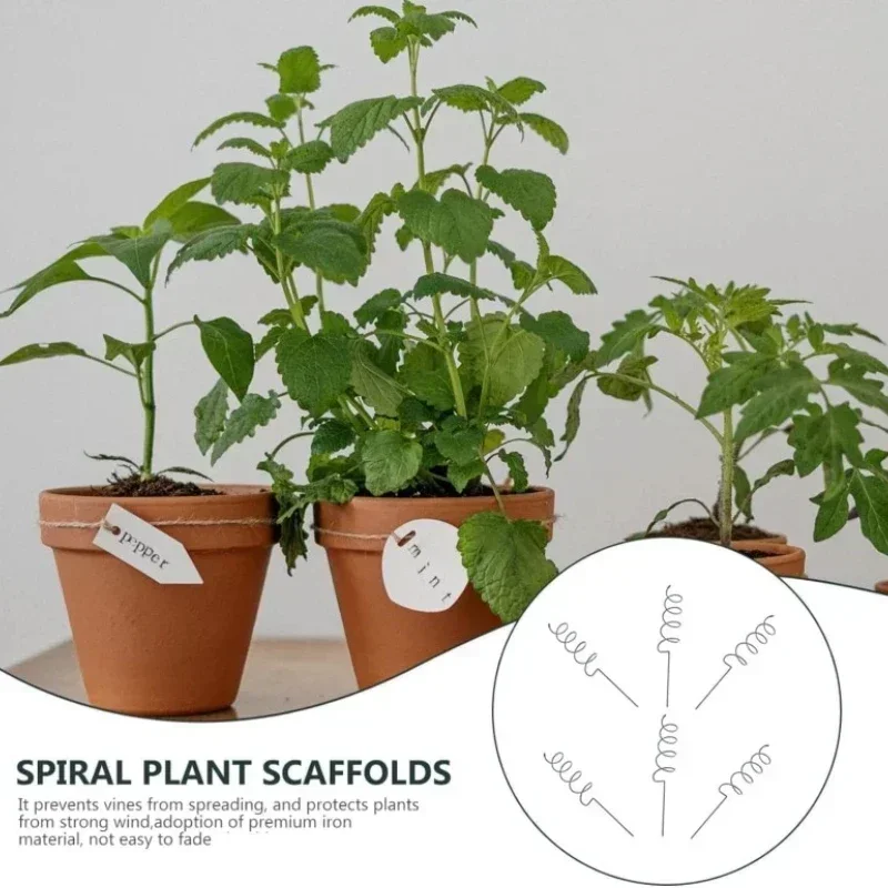 등반식물 지지대 스탠드, 덩굴식물 랙, 토마토 나선형  - Bonsai Garden Plants 리뷰 및 가격