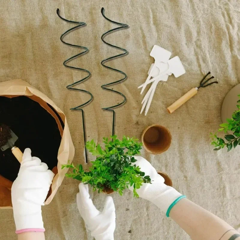 등반식물 지지대 스탠드, 덩굴식물 랙, 토마토 나선형  - Bonsai Garden Plants 리뷰 및 가격