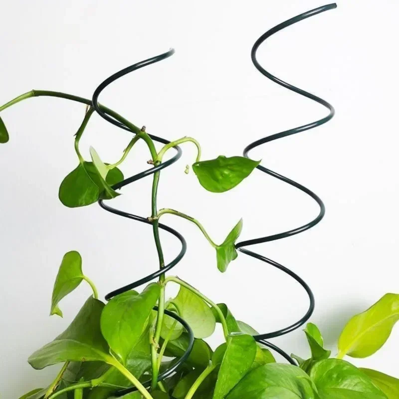 등반식물 지지대 스탠드, 덩굴식물 랙, 토마토 나선형  - Bonsai Garden Plants 리뷰 및 가격