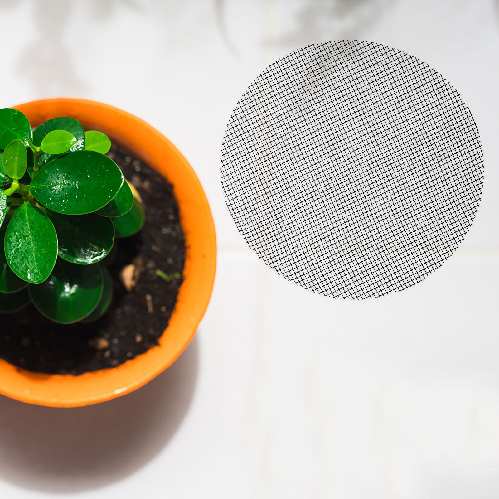 50개 꽃 화분 구멍 메쉬 패드 원형 배수망 플라스틱  - Bonsai Garden Plants 리뷰 및 가격