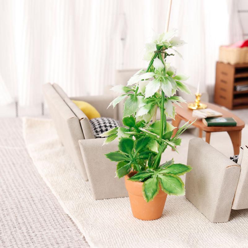 1/12 인형집 시뮬레이션 녹색 식물 분재 모델 인형집 - Bonsai Garden Plants 리뷰 및 가격