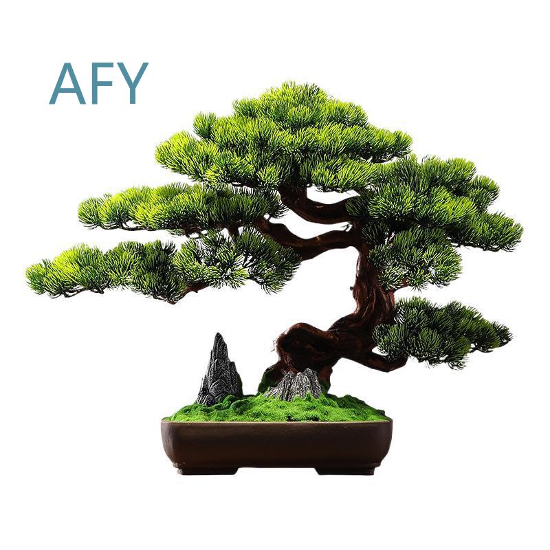가정 장식용, 거실용, 현관용, 선(禪) 정원용, 중국 - Bonsai Garden Entrance 리뷰 및 가격