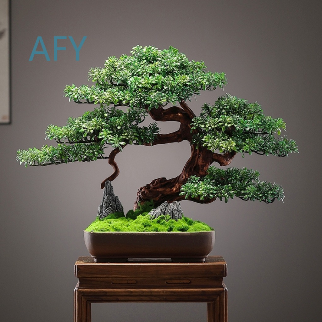 가정 장식용, 거실용, 현관용, 선(禪) 정원용, 중국 - Bonsai Garden Entrance 리뷰 및 가격