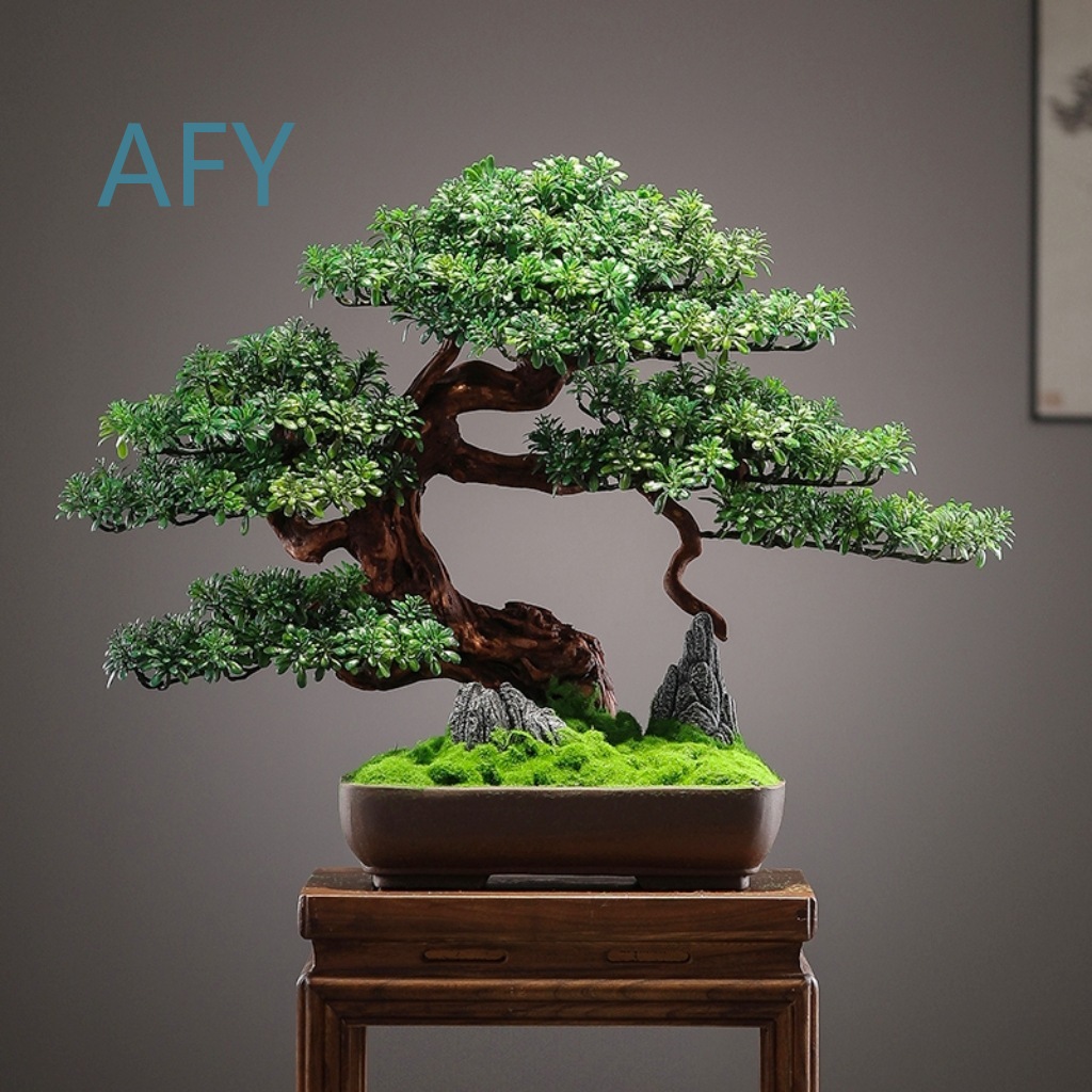 가정 장식용, 거실용, 현관용, 선(禪) 정원용, 중국 - Bonsai Garden Entrance 리뷰 및 가격