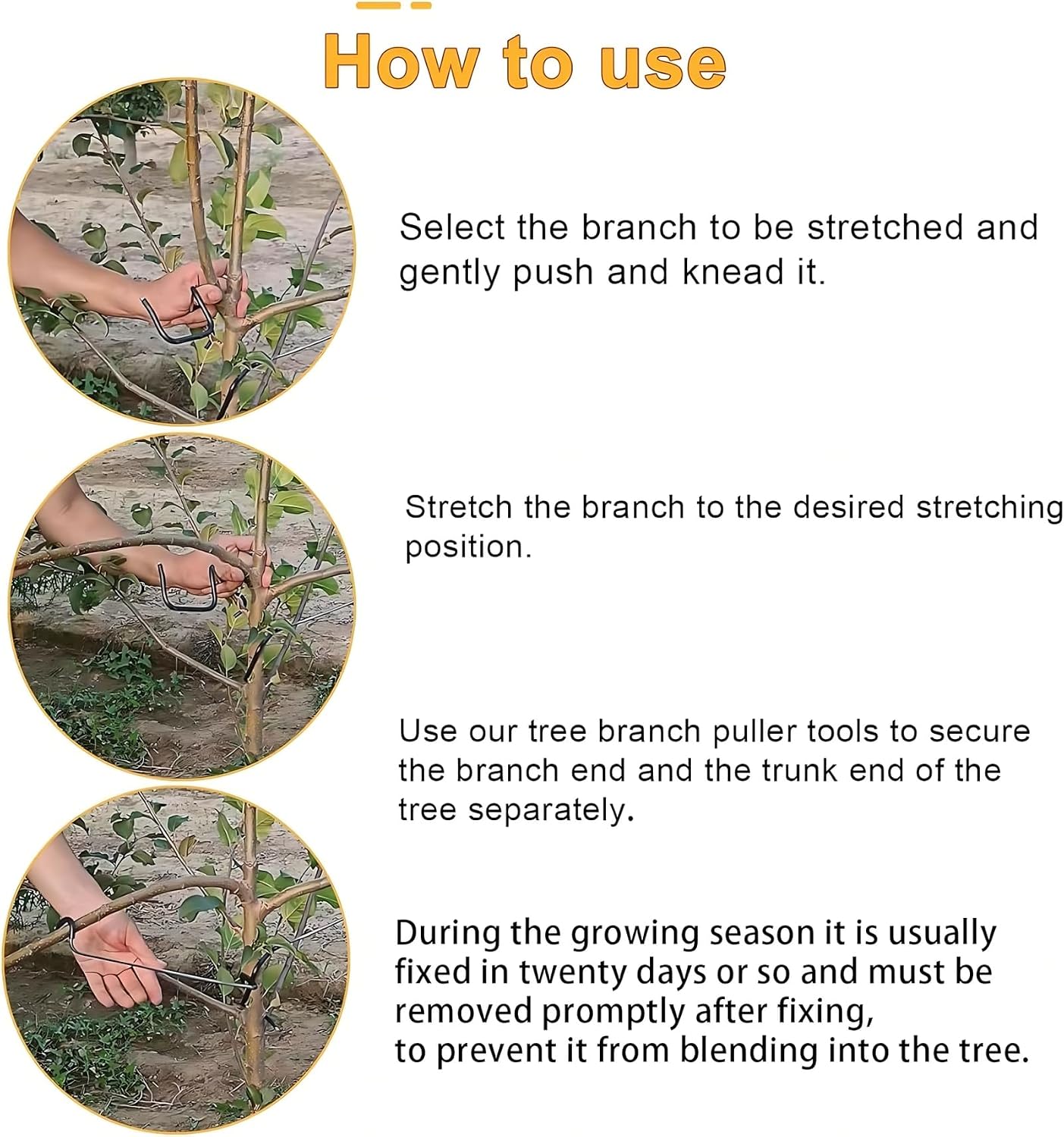 조절 가능한 과일나무 가지 성형기 (측면 가지 굽힘 및 - Bonsai Garden Plants 리뷰 및 가격