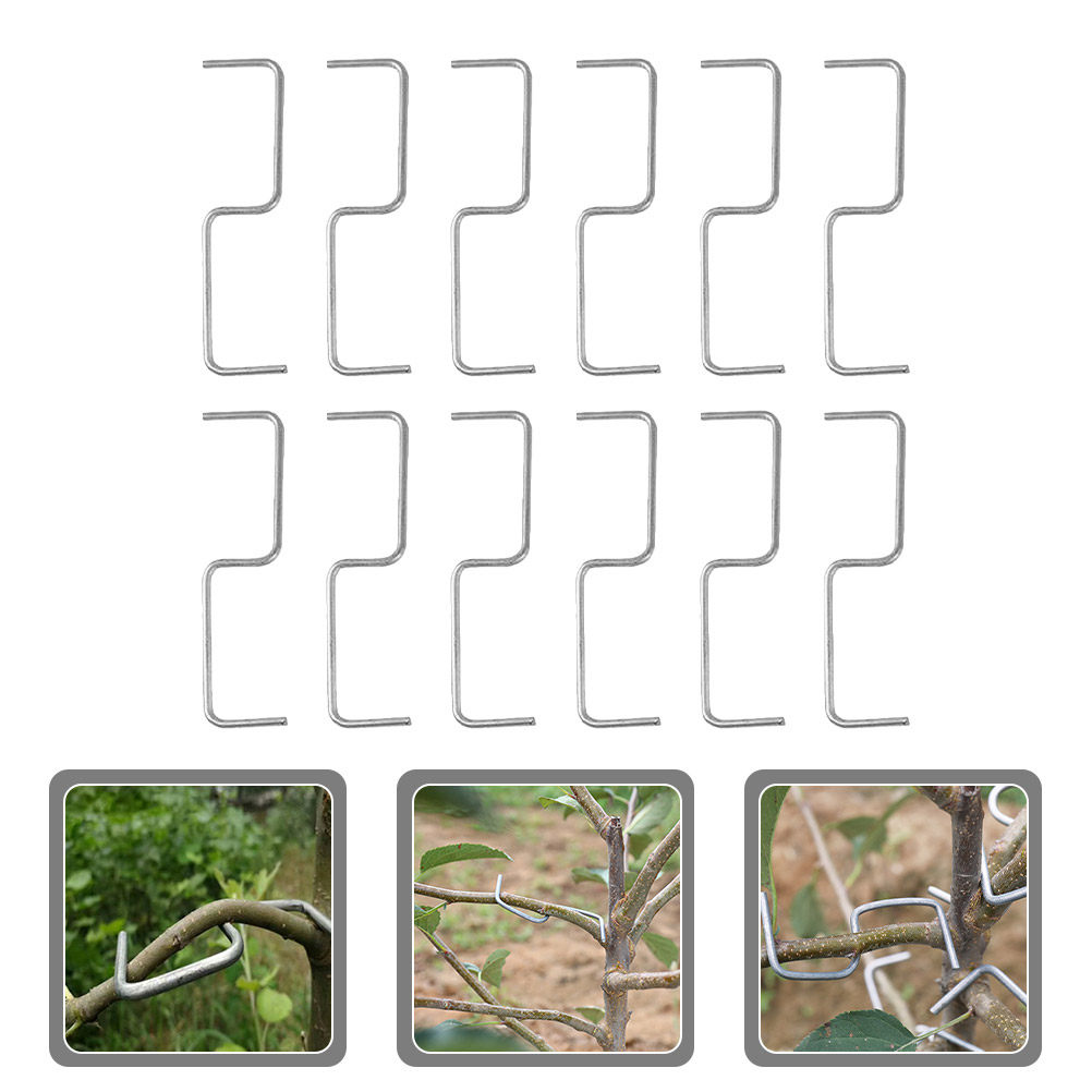 1세트 식물 가지 교정기, 나무 가지 모양 조정용 가지 - Bonsai Garden Plants 리뷰 및 가격