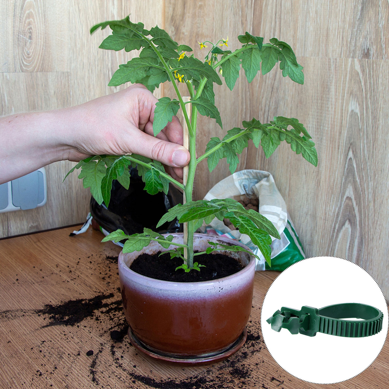 20개입 덩굴 고정 버클 정원 식물 지지 클립 PVC  - Bonsai Garden Plants 리뷰 및 가격