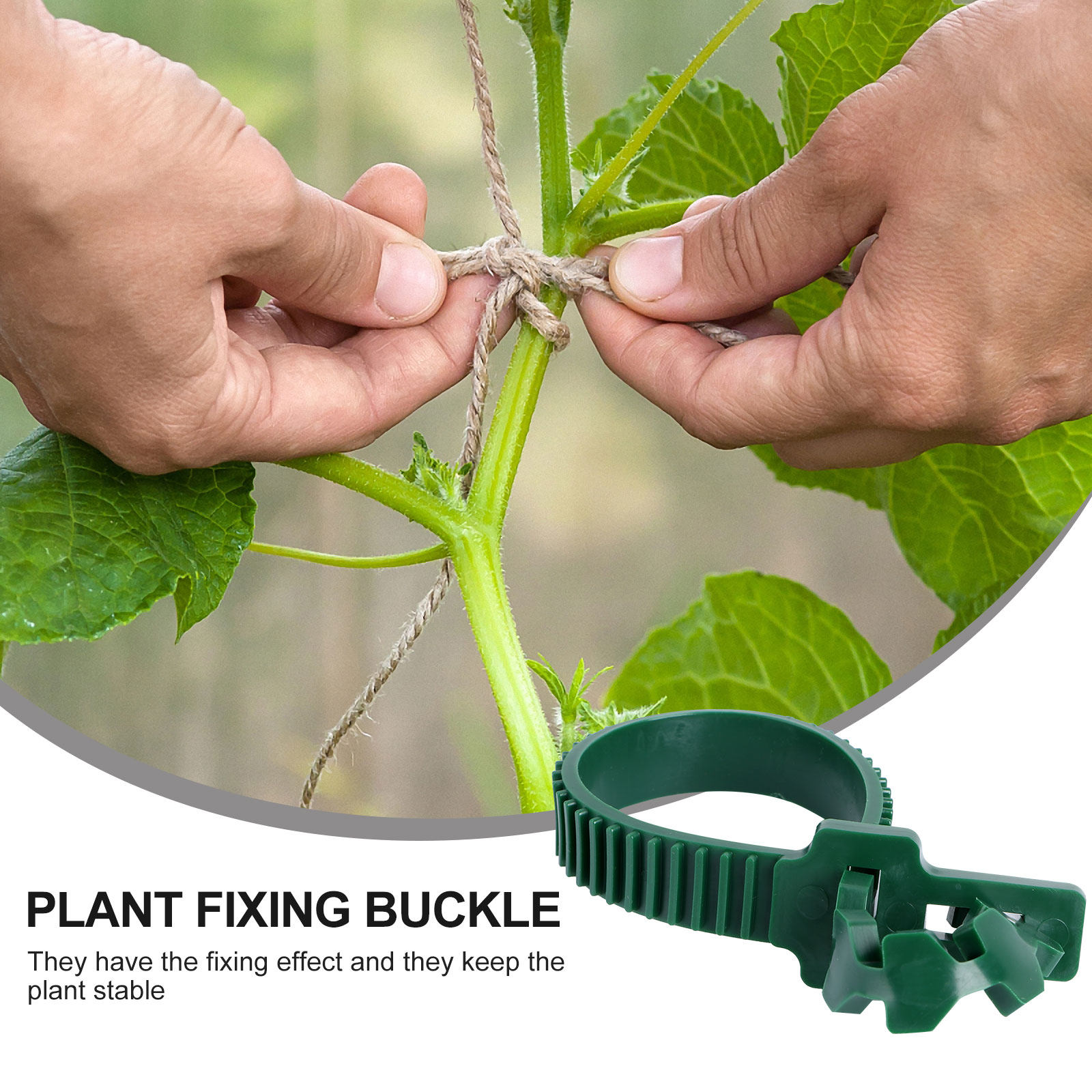 20개입 덩굴 고정 버클 정원 식물 지지 클립 PVC  - Bonsai Garden Plants 리뷰 및 가격