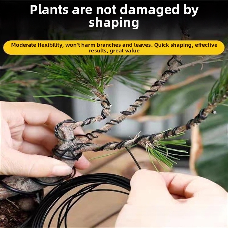1.5MM 분재 와이어 알루미늄 분재 훈련용 와이어 모 - Bonsai Garden Plants 리뷰 및 가격