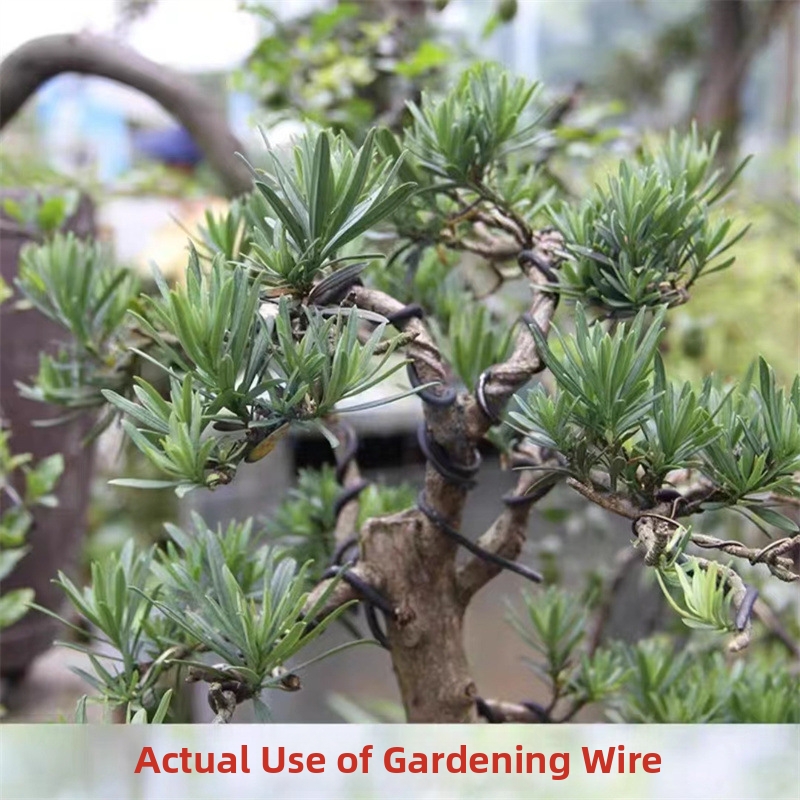 1.5MM 분재 와이어 알루미늄 분재 훈련용 와이어 모 - Bonsai Garden Plants 리뷰 및 가격