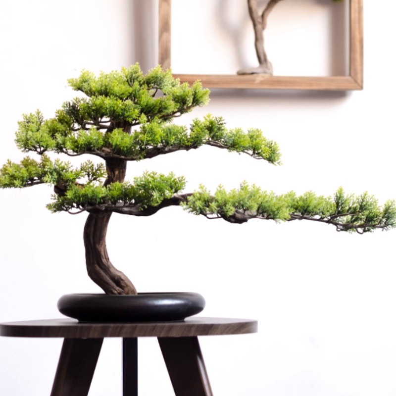 거실 입구 장식용 가정용 환영 소나무 장식품 모조 세라 - Bonsai Garden Entrance 리뷰 및 가격