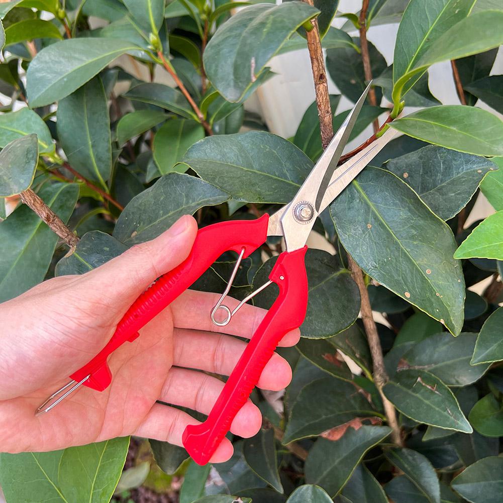 프로 가든 전정가위 연장형 나무 꽃 가위 수제 분재 가 - Bonsai Garden Plants 리뷰 및 가격