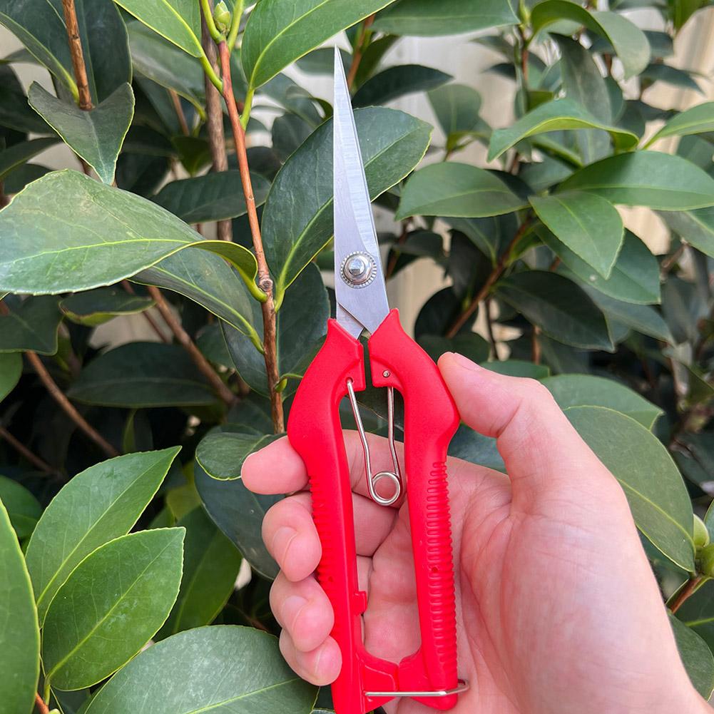 프로 가든 전정가위 연장형 나무 꽃 가위 수제 분재 가 - Bonsai Garden Plants 리뷰 및 가격
